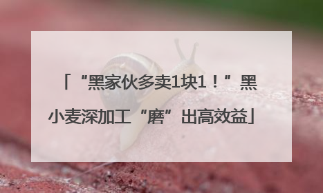 “黑家伙多卖1块1！”黑小麦深加工“磨”出高效益