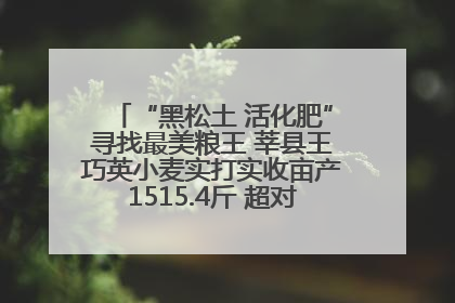 “黑松土 活化肥”寻找最美粮王 莘县王巧英小麦实打实收亩产1515.4斤 超对照田144斤！