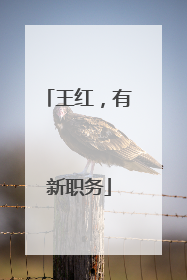 王红，有新职务