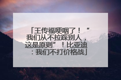王传福哽咽了！“我们从不拉踩别人，这是原则”！比亚迪：我们不打价格战