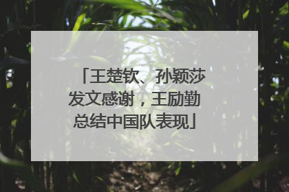 王楚钦、孙颖莎发文感谢，王励勤总结中国队表现