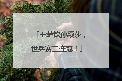 王楚钦孙颖莎，世乒赛三连冠！