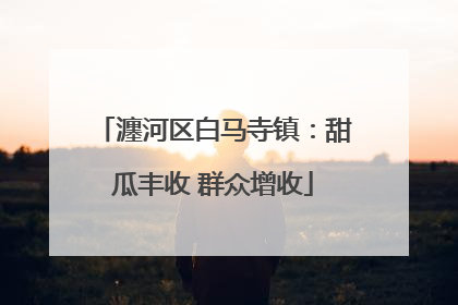 瀍河区白马寺镇：甜瓜丰收 群众增收