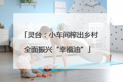 灵台：小车间榨出乡村全面振兴“幸福油”