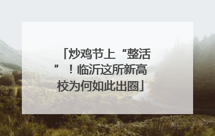 炒鸡节上“整活”！临沂这所新高校为何如此出圈
