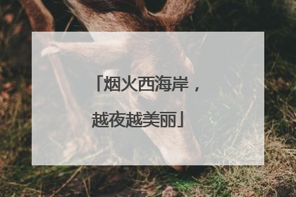 烟火西海岸，越夜越美丽