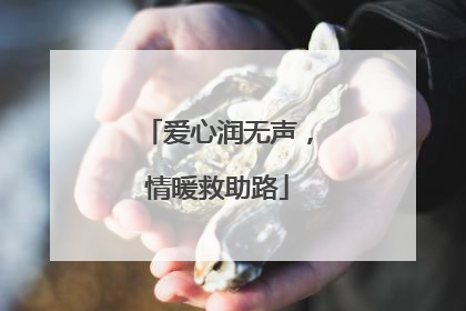爱心润无声，情暖救助路
