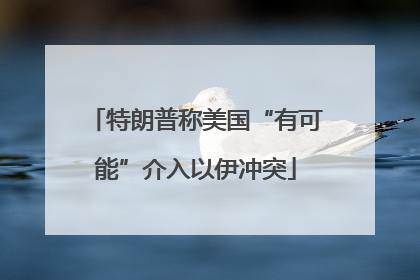 特朗普称美国“有可能”介入以伊冲突