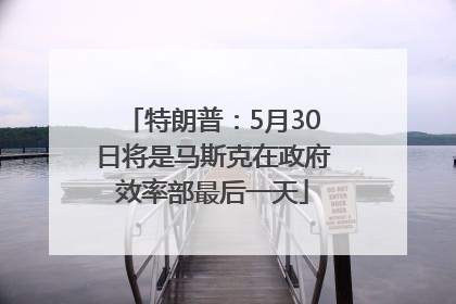 特朗普：5月30日将是马斯克在政府效率部最后一天