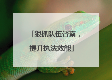狠抓队伍督察，提升执法效能