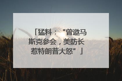 猛料：“曾邀马斯克参会，美防长惹特朗普大怒”