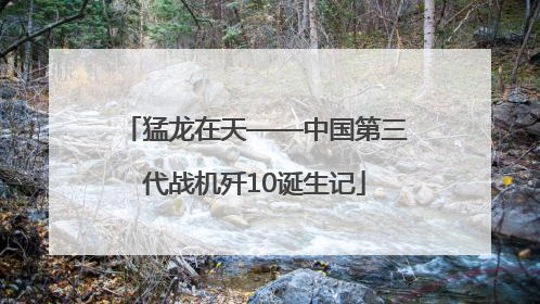 猛龙在天——中国第三代战机歼10诞生记