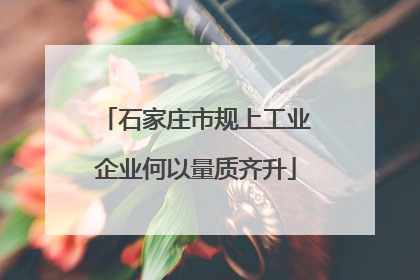 石家庄市规上工业企业何以量质齐升