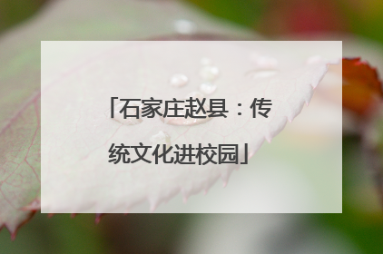 石家庄赵县：传统文化进校园