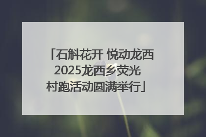 石斛花开 悦动龙西 2025龙西乡荧光村跑活动圆满举行