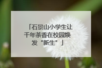 石景山小学生让千年茶香在校园焕发“新生”