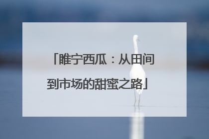 睢宁西瓜：从田间到市场的甜蜜之路
