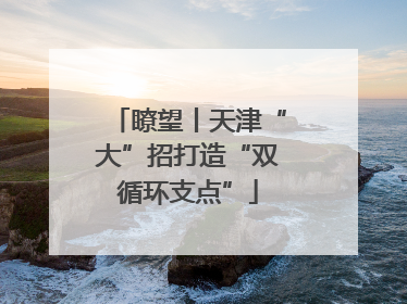 瞭望丨天津“大”招打造“双循环支点”