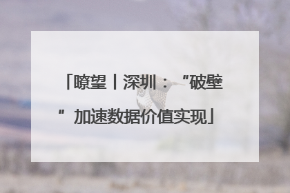 瞭望丨深圳：“破壁”加速数据价值实现