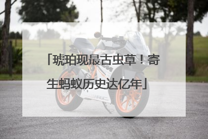 琥珀现最古虫草！寄生蚂蚁历史达亿年