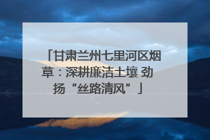 甘肃兰州七里河区烟草：深耕廉洁土壤 劲扬“丝路清风”
