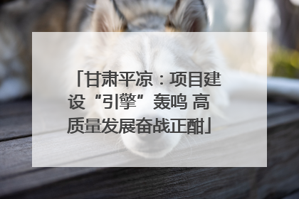 甘肃平凉：项目建设“引擎”轰鸣 高质量发展奋战正酣