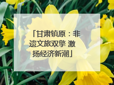 甘肃镇原：非遗文旅双擎 激扬经济新潮