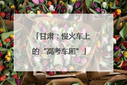 甘肃：慢火车上的“高考车厢”