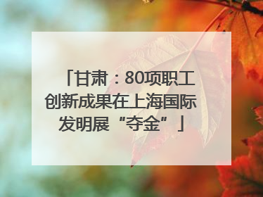 甘肃：80项职工创新成果在上海国际发明展“夺金”