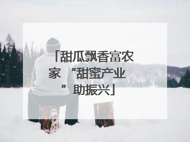 甜瓜飘香富农家 “甜蜜产业”助振兴