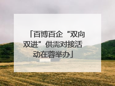 百博百企“双向双进”供需对接活动在蓉举办