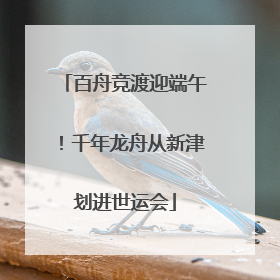 百舟竞渡迎端午！千年龙舟从新津划进世运会