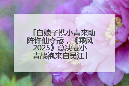 白娘子携小青来助阵许仙夺冠，《乘风2025》总决赛小青战袍来自吴江
