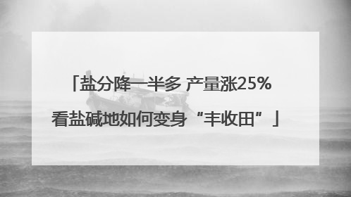 盐分降一半多 产量涨25% 看盐碱地如何变身“丰收田”