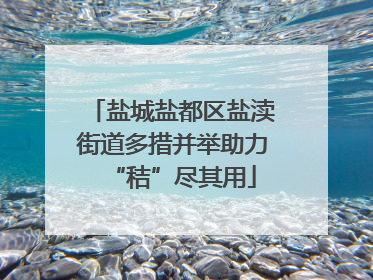 盐城盐都区盐渎街道多措并举助力“秸”尽其用
