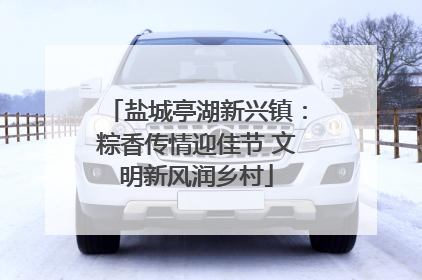 盐城亭湖新兴镇：粽香传情迎佳节 文明新风润乡村