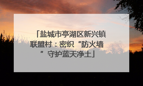盐城市亭湖区新兴镇联盟村：密织“防火墙”守护蓝天净土