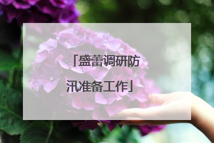 盛蕾调研防汛准备工作