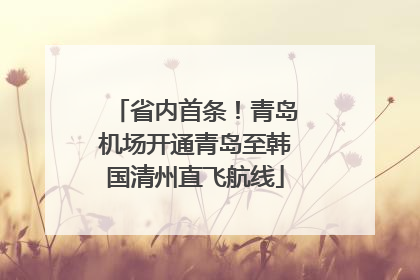 省内首条！青岛机场开通青岛至韩国清州直飞航线