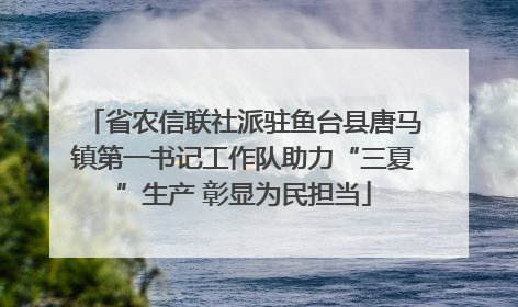 省农信联社派驻鱼台县唐马镇第一书记工作队助力“三夏”生产 彰显为民担当