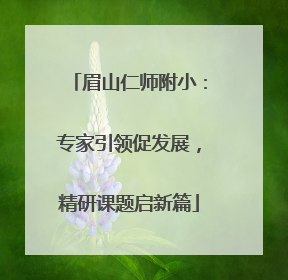 眉山仁师附小：专家引领促发展，精研课题启新篇