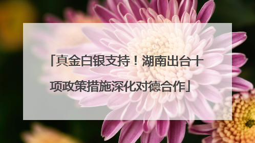 真金白银支持！湖南出台十项政策措施深化对德合作