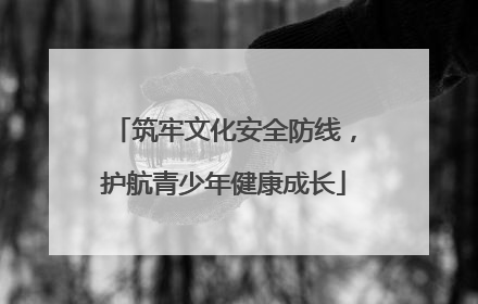 筑牢文化安全防线，护航青少年健康成长