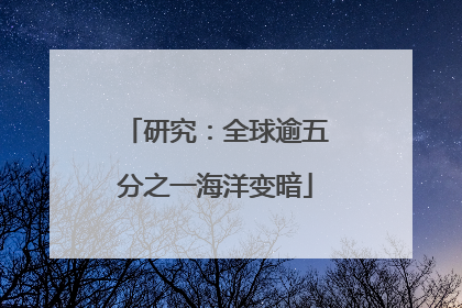 研究：全球逾五分之一海洋变暗
