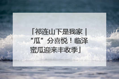 祁连山下是我家｜“瓜”分喜悦！临泽蜜瓜迎来丰收季