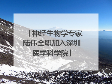 神经生物学专家陆伟全职加入深圳医学科学院