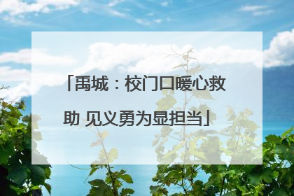 禹城：校门口暖心救助 见义勇为显担当