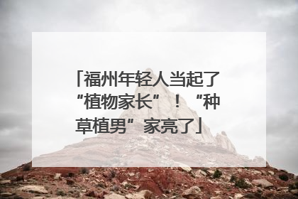 福州年轻人当起了“植物家长”！“种草植男”家亮了