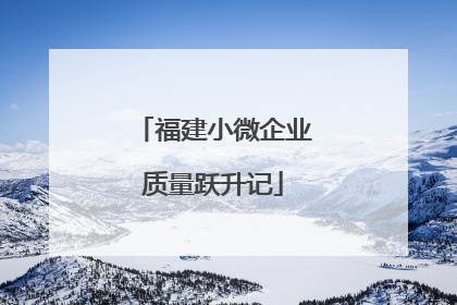 福建小微企业质量跃升记