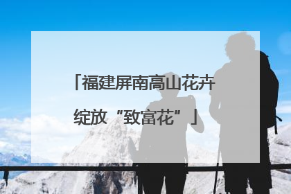 福建屏南高山花卉绽放“致富花”